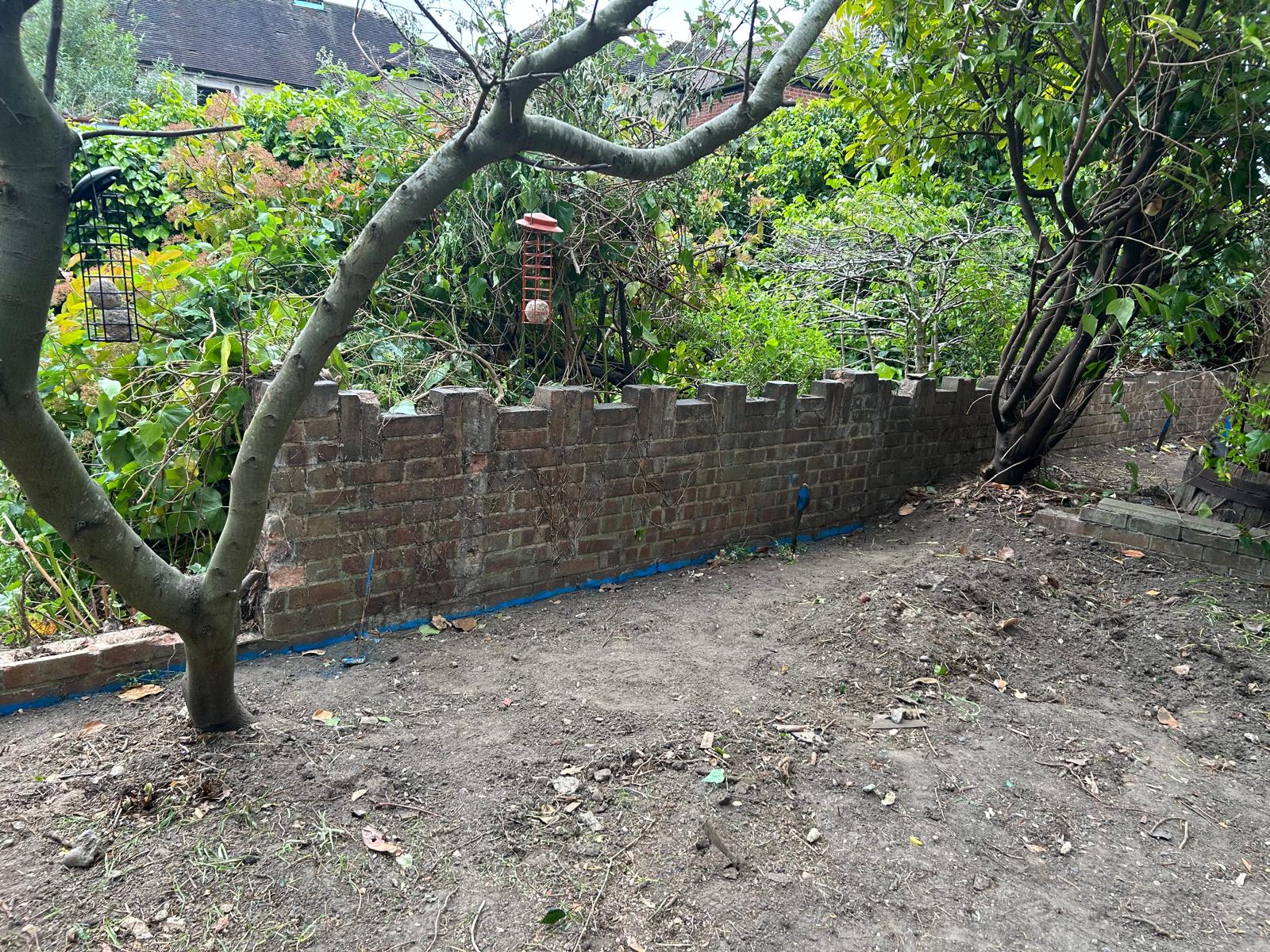 Overgrown garden boundary with old brick wall before clearance